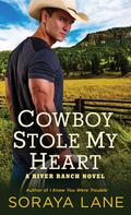 Cowboy Stole My Heart (River Ranch #1) by Soraya Lane