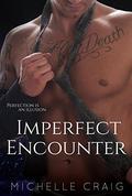 Imperfect Encounter by Nikki Worrell