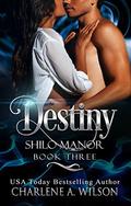Destiny: Multi-dimensional Soul Mates (Shilo Manor #3) by Charlene A. Wilson