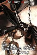 Exhibition Hall (The Slave Makers #11) by A.D. Young