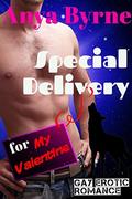 Special Delivery for My Valentine: Gay Romance (Holiday Specials #2) by Anya Byrne