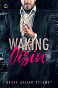 Waking Oisin by Grace Kilian Delaney