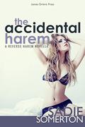 The Accidental Harem: A Reverse Harem Novella (The Accidental Hotwife #3) by Sadie Somerton