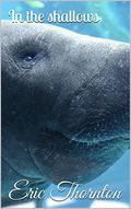 In The Shallows by Eric Thornton