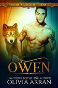 Heartsridge Shifters: Owen (The Protectors #1) by Olivia Arran