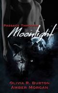 Passage Through Moonlight by Olivia R. Burton