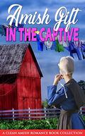 Amish Gift in the Captive by Mica Benchley