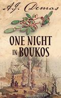 One Night in Boukos by A.J. Demas