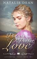 Picture Perfect Love: Wagon Train Romance (Love on the Trails #2) by Eveline Hart