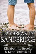Daybreak in Sandbridge by Elizabeth L. Brooks