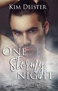 One Stormy Night (Kissing Frogs #0) by Kim Deister