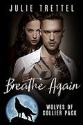 Breathe Again by Julie Trettel