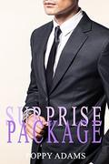 Surprise Package: A Romance by Poppy Adams