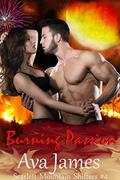 Burning Passion: Scarlett Mountain Shifters Book 4 (Emerson's Revenge Trilogy #3) by Ava James