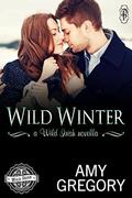 Wild Winter: A Wild Irish Novella by Amy Gregory