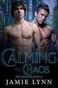 Calming the Chaos by Jamie Lynn