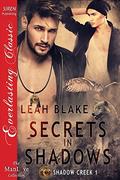Secrets in Shadows by Leah Blake