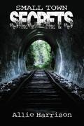 Small Town Secrets by Allie Harrison