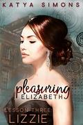 Pleasuring Elizabeth - Lesson Three: Lizzie (A Sensual Pride & Prejudice Interlude #3) by Katya Simons