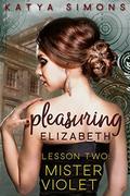 Pleasuring Elizabeth - Lesson Two: Mister Violet (A Sensual Pride & Prejudice Interlude #2) by Katya Simons