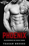 Phoenix by Teagan Brooks