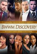 BWWM Discovery 2: 5 hot BWWM romances in 1  (BWWM Bundle) by Erica A Davis