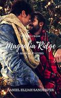 Stories From Magnolia Ridge 6: A Season of Giving by Theresa Preston