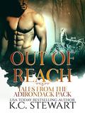 Out of Reach: Tales from the Adirondack Pack by K.C. Stewart