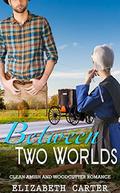 Between Two Worlds: A Clean Amish and Woodcutter Romance by Elizabeth Carter