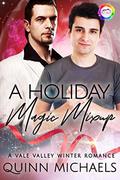 A Holiday Magic Mixup by Quinn Michaels