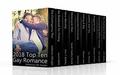 2018 Top Ten Gay Romance by J.D. Walker