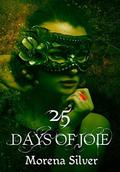 25 Days of Joie: A Yuletide Reverse Harem Fantasy Romance by Morena Silver