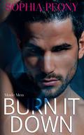 Burn It Down (Made Men #2) by Sophia Peony