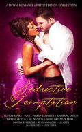 Seductive Temptation: A BWWM Romance Limited Edition Collection by Donna Mercer