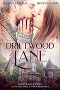 Driftwood Lane (Whisper Cove #2) by Beneva Clark