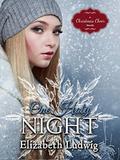 One Holy Night by Elizabeth Ludwig