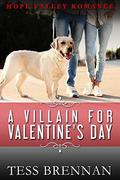 A Villain for Valentine's Day (Hope Valley Romance #6) by Tess Brennan