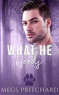 What He Needs (Salutem #1) by JC Clarke