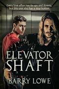 Elevator Shaft by Barry Lowe