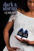 Dark & Stormy: a Rivers End Romance novella  (Maddy+Dawson / Kelsey+Jason) by C.J. Hunt