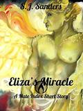 Eliza's Miracle by SJ Sanders