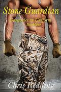 Stone Guardian: Book One Gargoyles in Uniform by Chris Redding
