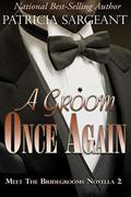 A Groom Once Again: Meet the Bridegrooms, Novella 2 by Patricia Sargeant