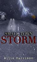 Small Town Storm by Allie Harrison