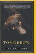 Tomorrow by Damian Dibben