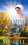 Amish Proof Of Love  (Love in Amish Indiana Series) by Saraah Sowell