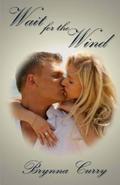 Wait for the Wind (Elemental Magic #3) by Brynna Curry