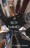 A Boy Named: The Series (The Matchmaker #7) by J. Leigh James
