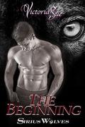 The Beginning by Victoria Sue