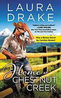 Home at Chestnut Creek: Two full books for the price of one by Laura Drake